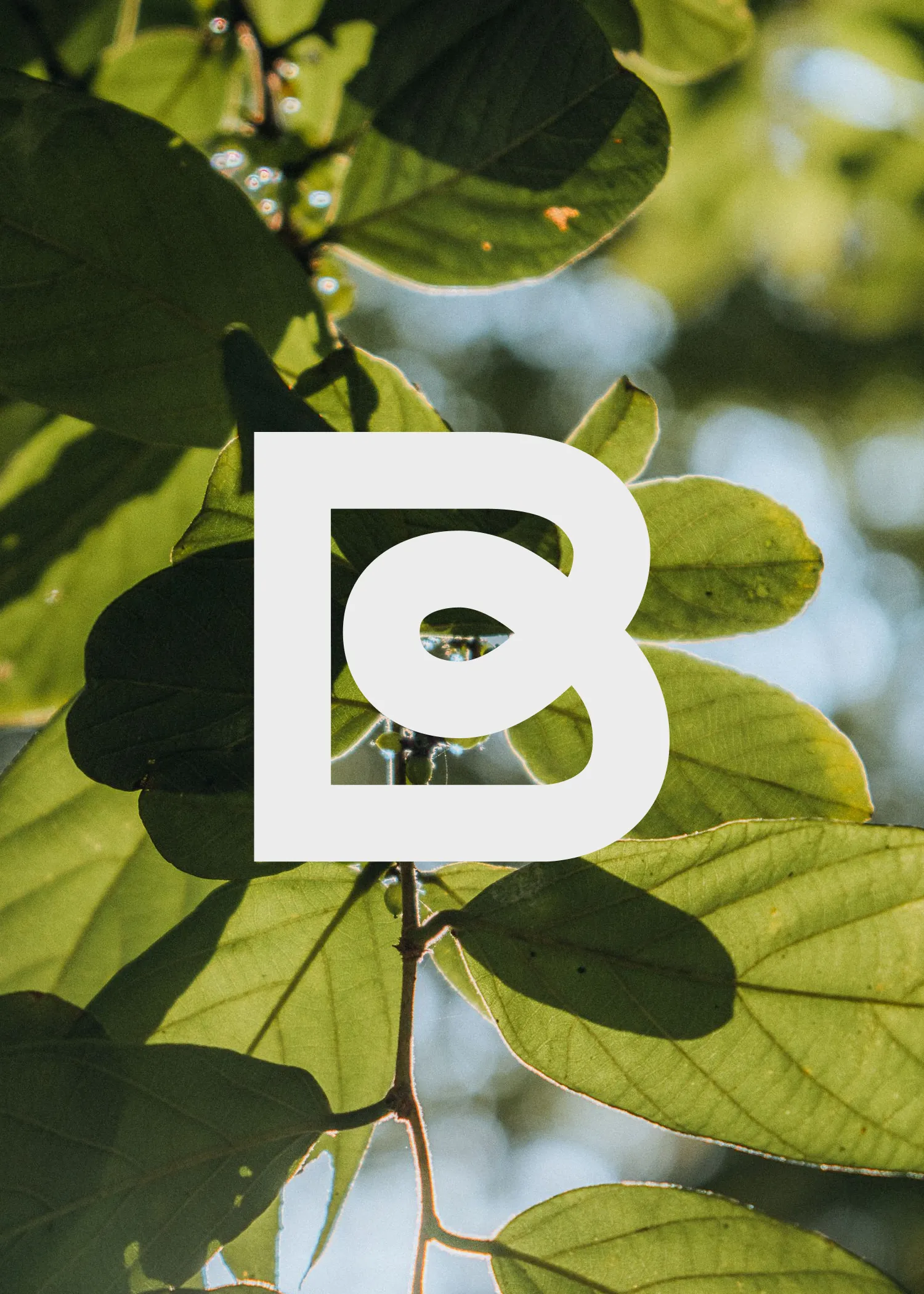 BI-REX logo