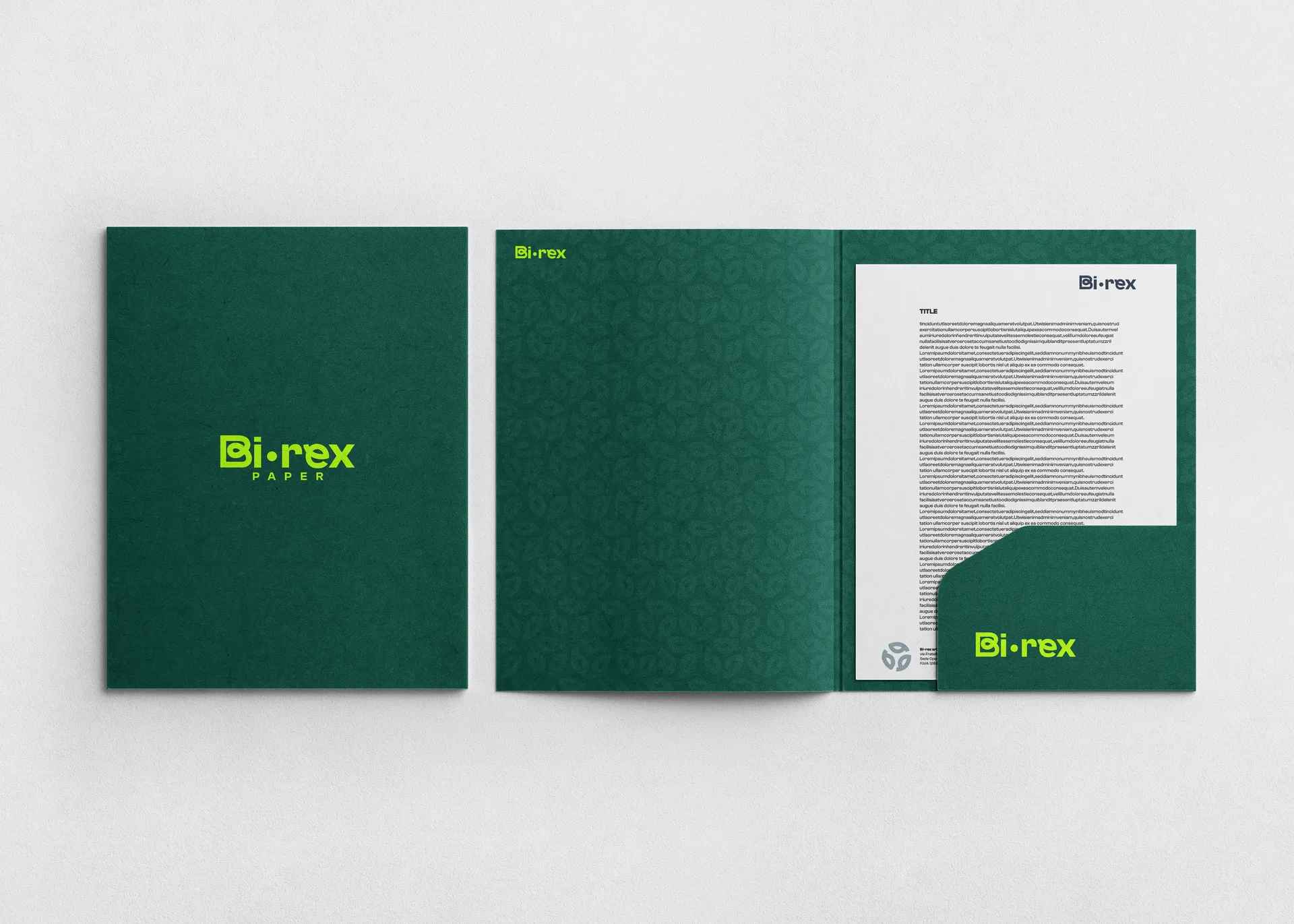 BI-REX official documents